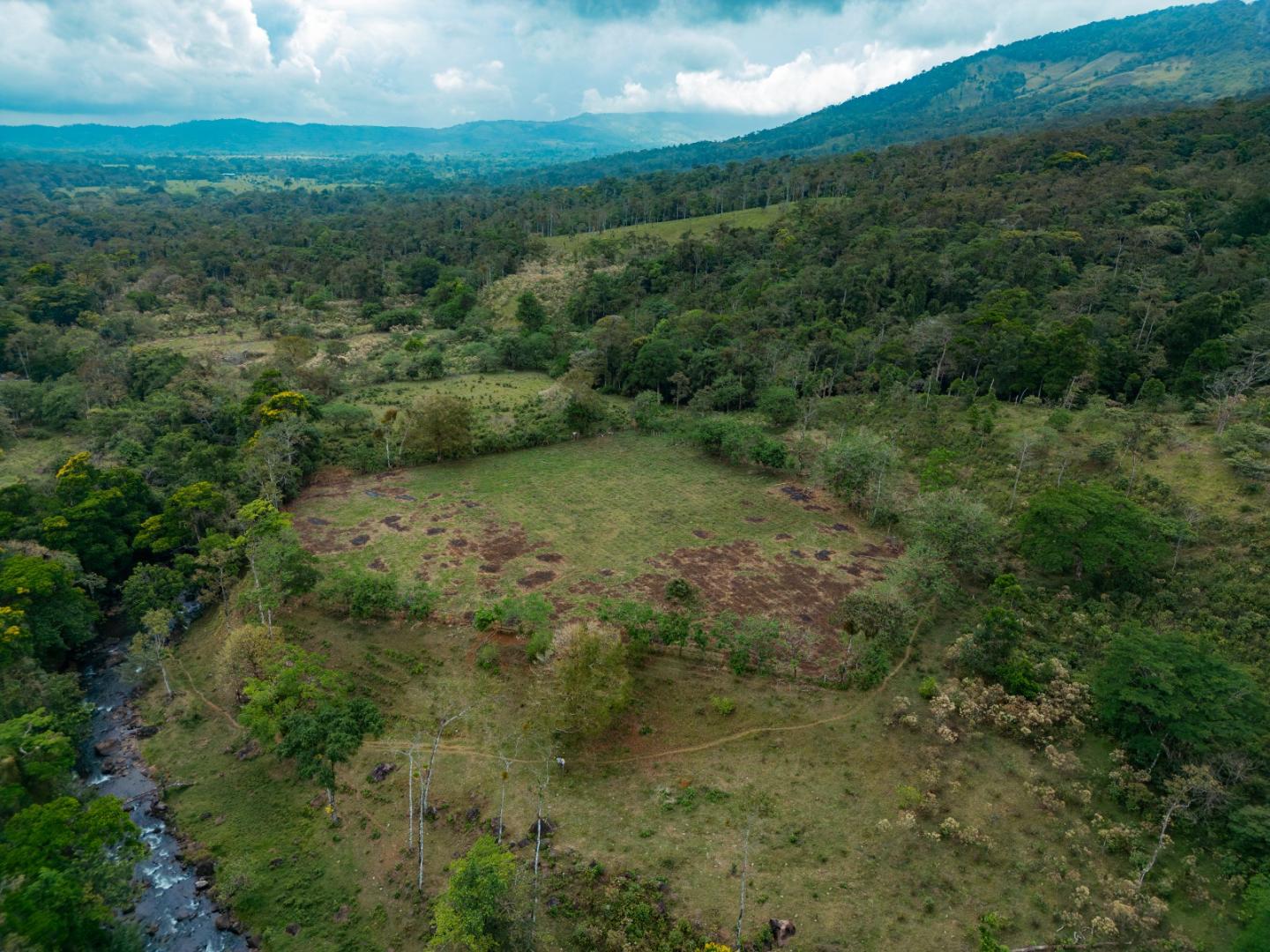 FINCA ABUELO | COSTA RICA