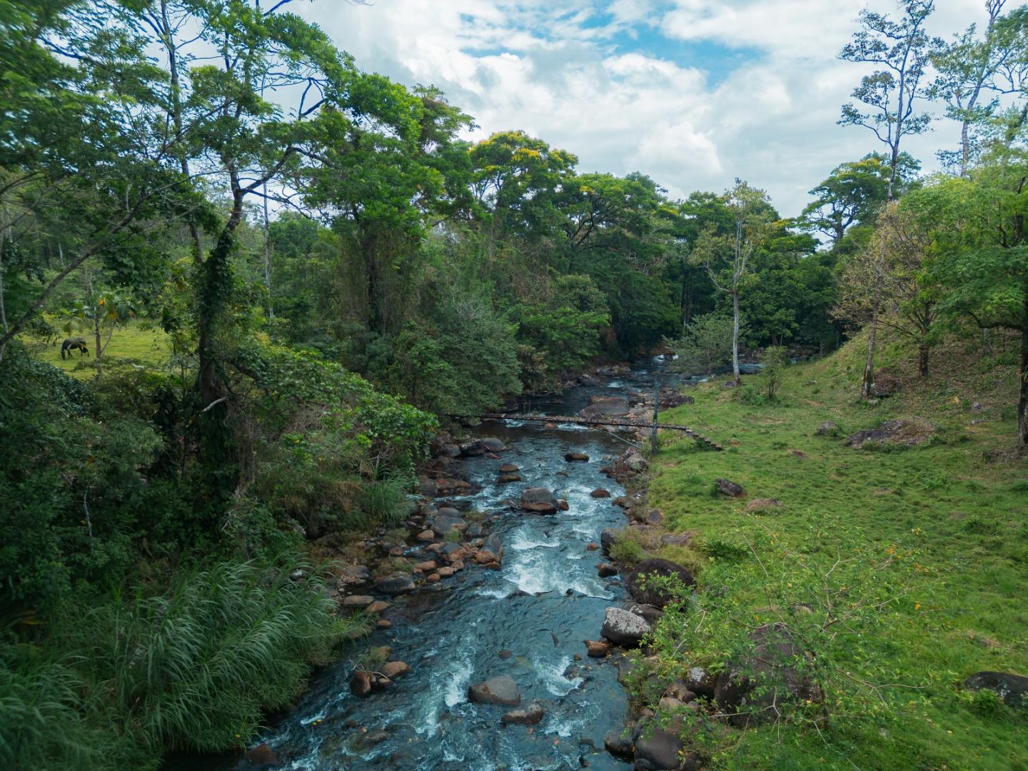 FINCA ABUELO | COSTA RICA