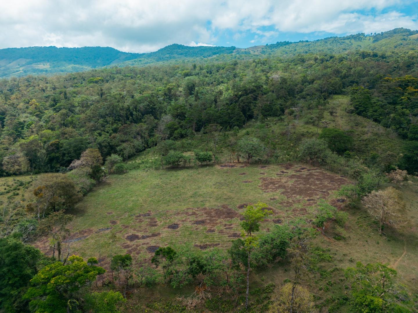 FINCA ABUELO | COSTA RICA