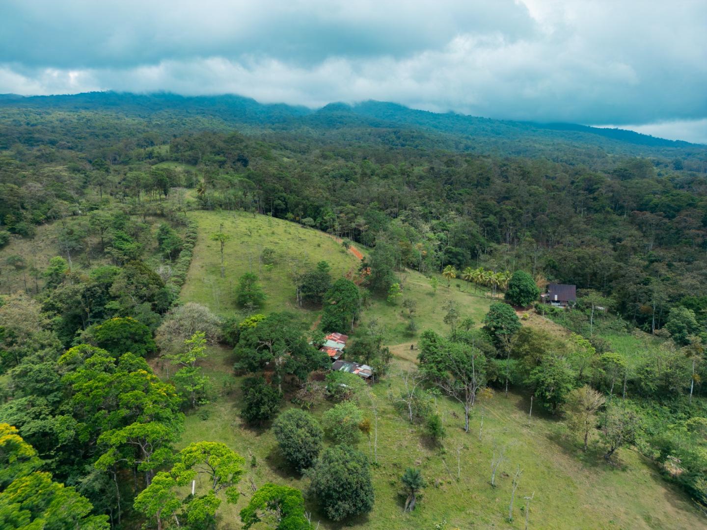 FINCA ABUELO | COSTA RICA