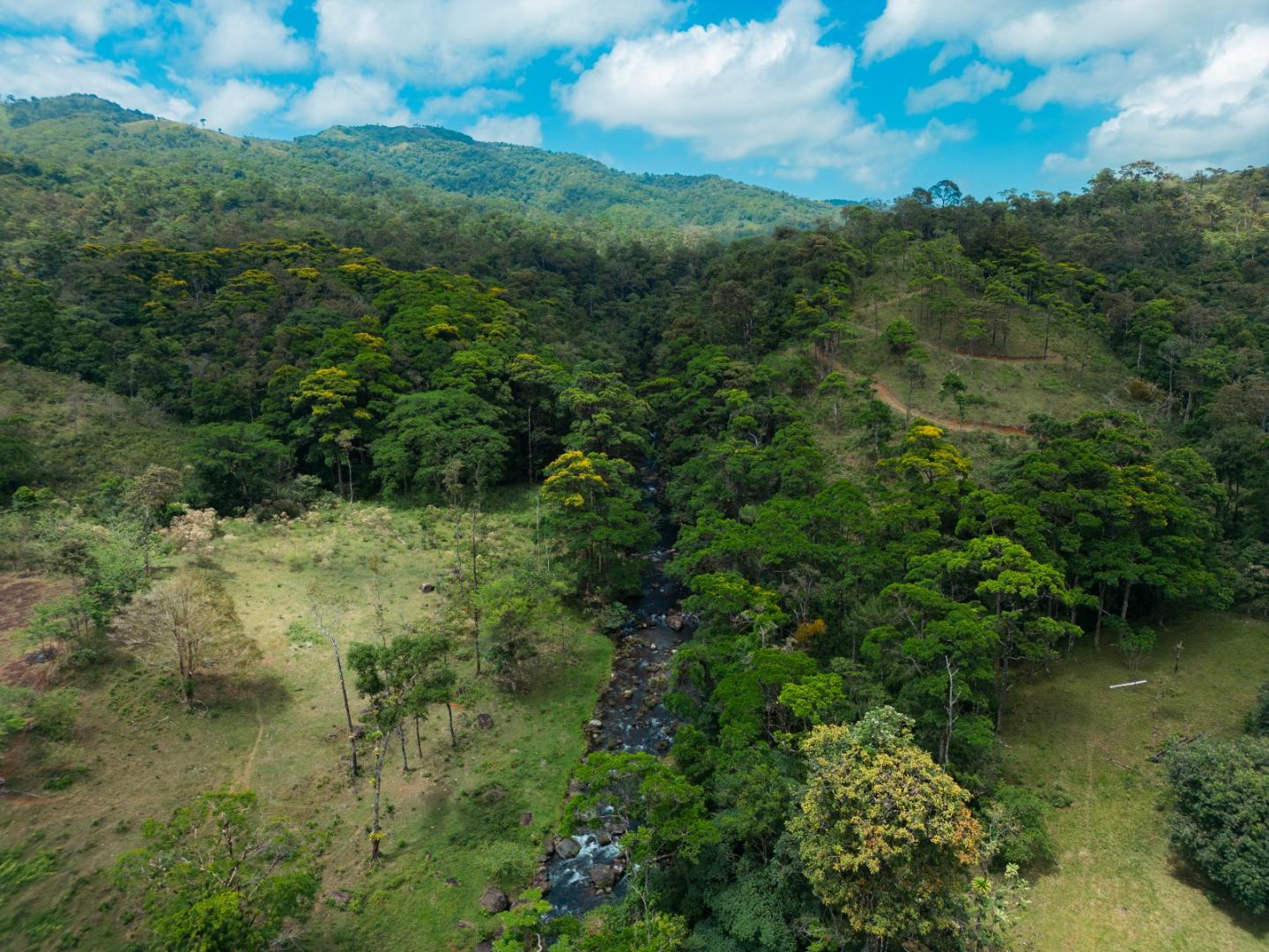 FINCA ABUELO | COSTA RICA