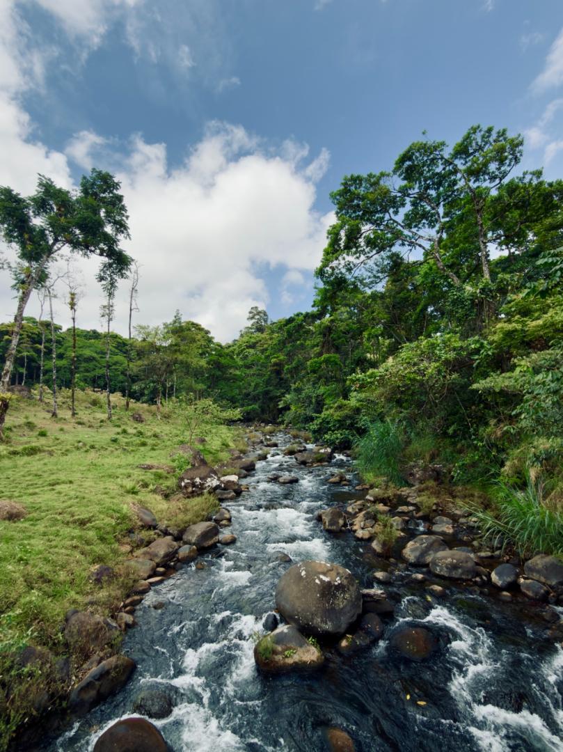 FINCA ABUELO | COSTA RICA