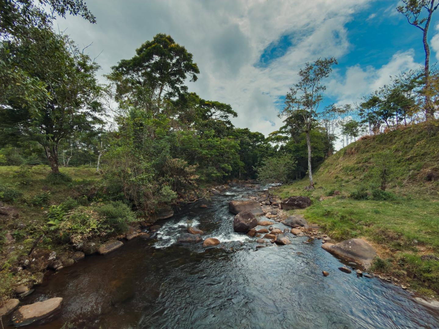 FINCA ABUELO | COSTA RICA