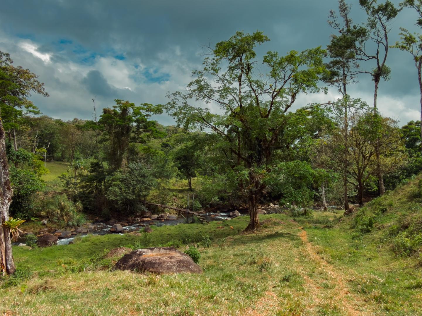 FINCA ABUELO | COSTA RICA