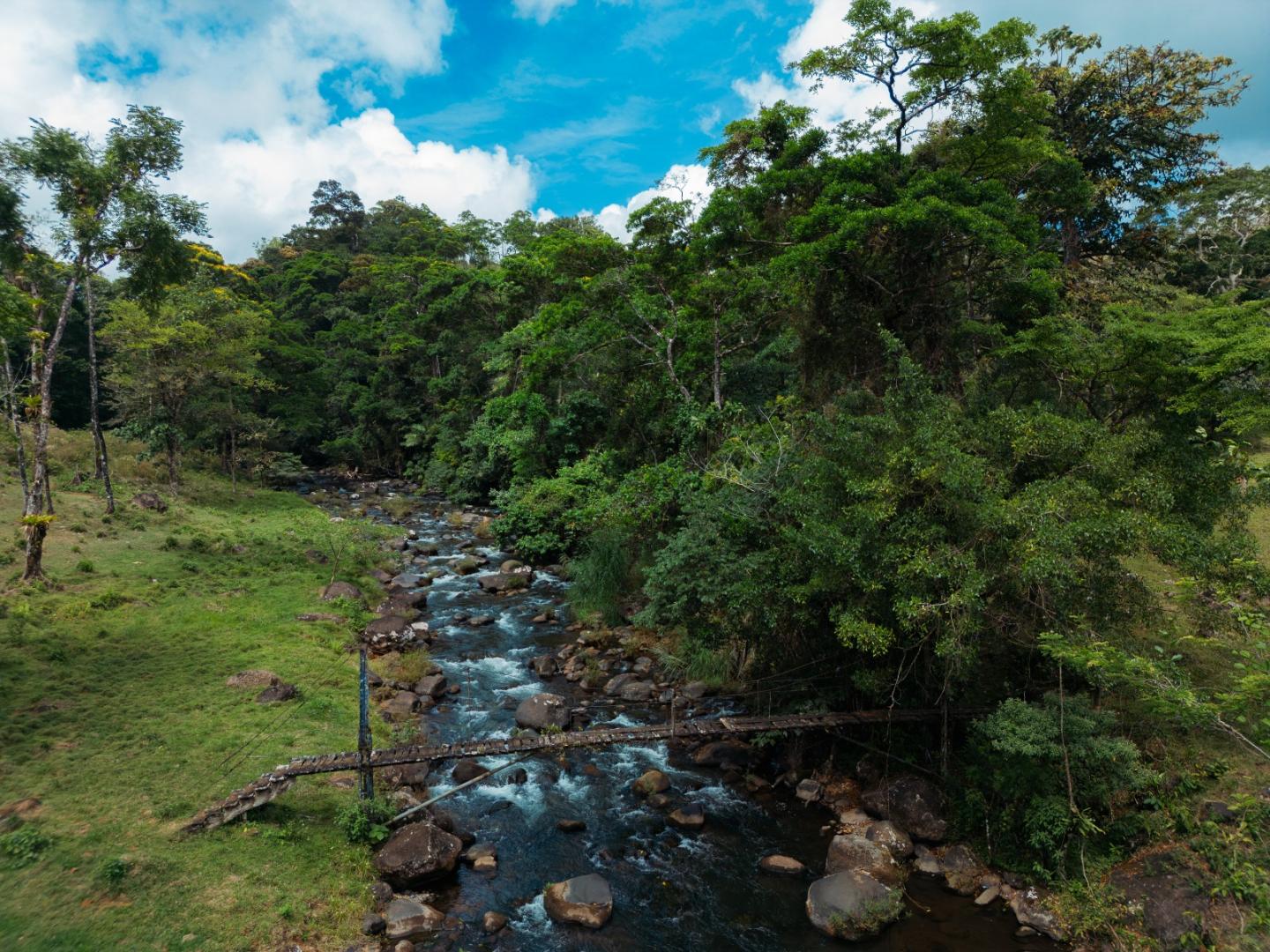 FINCA ABUELO | COSTA RICA