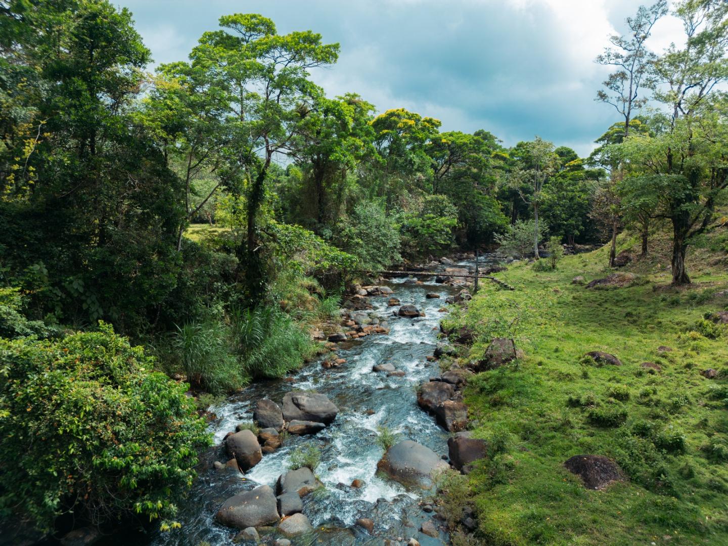 FINCA ABUELO | COSTA RICA