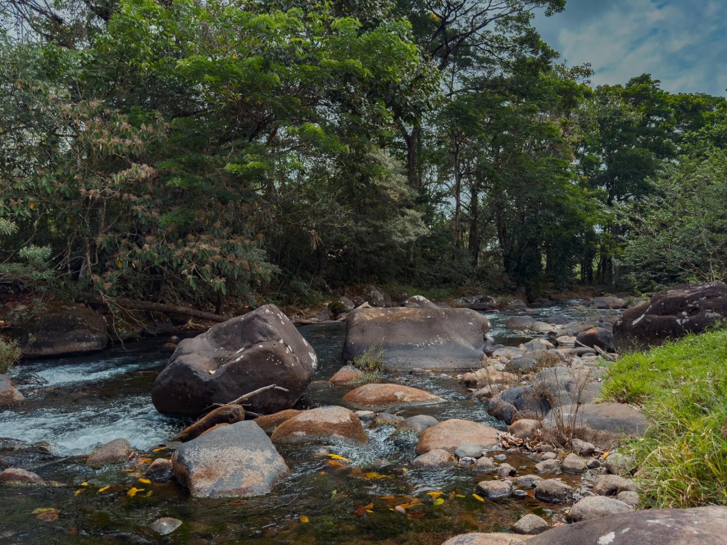 FINCA ABUELO | COSTA RICA