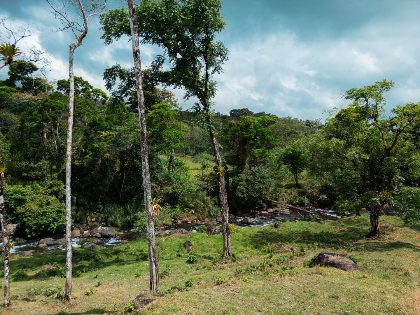 FINCA ABUELO | COSTA RICA