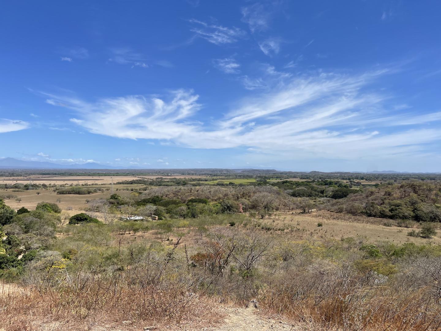 PAPAGAYO ESTATES