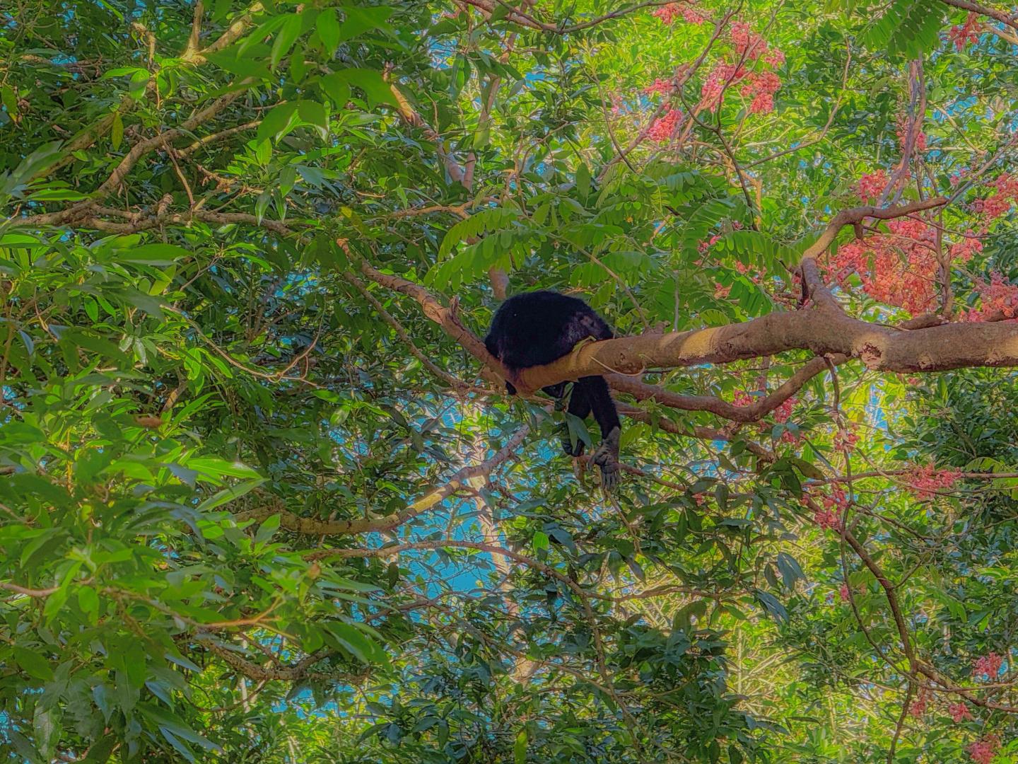  COMUNIDAD CERRADA RESIDENCIAL EL SITIO