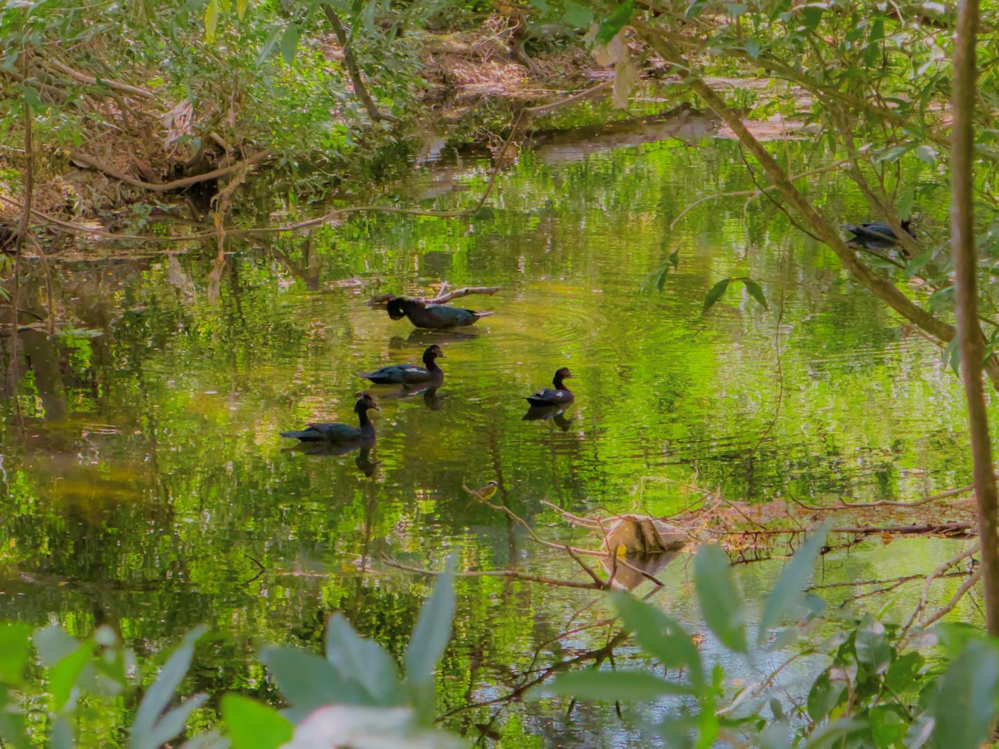  COMUNIDAD CERRADA RESIDENCIAL EL SITIO