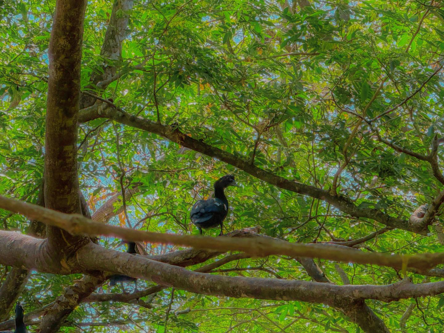  COMUNIDAD CERRADA RESIDENCIAL EL SITIO