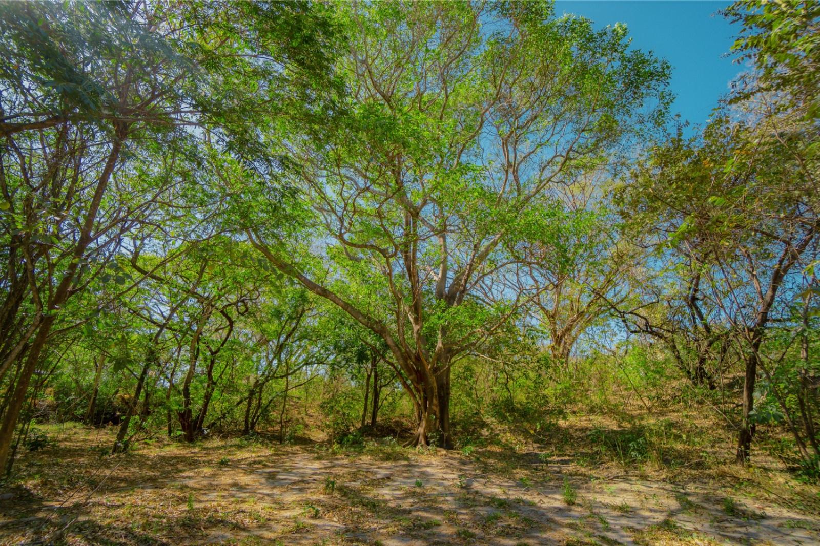  COMUNIDAD CERRADA RESIDENCIAL EL SITIO